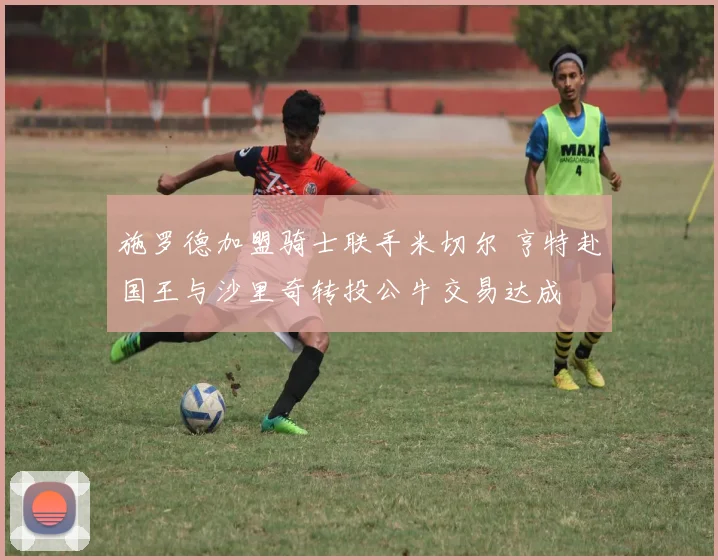 施罗德加盟骑士联手米切尔 亨特赴国王与沙里奇转投公牛交易达成